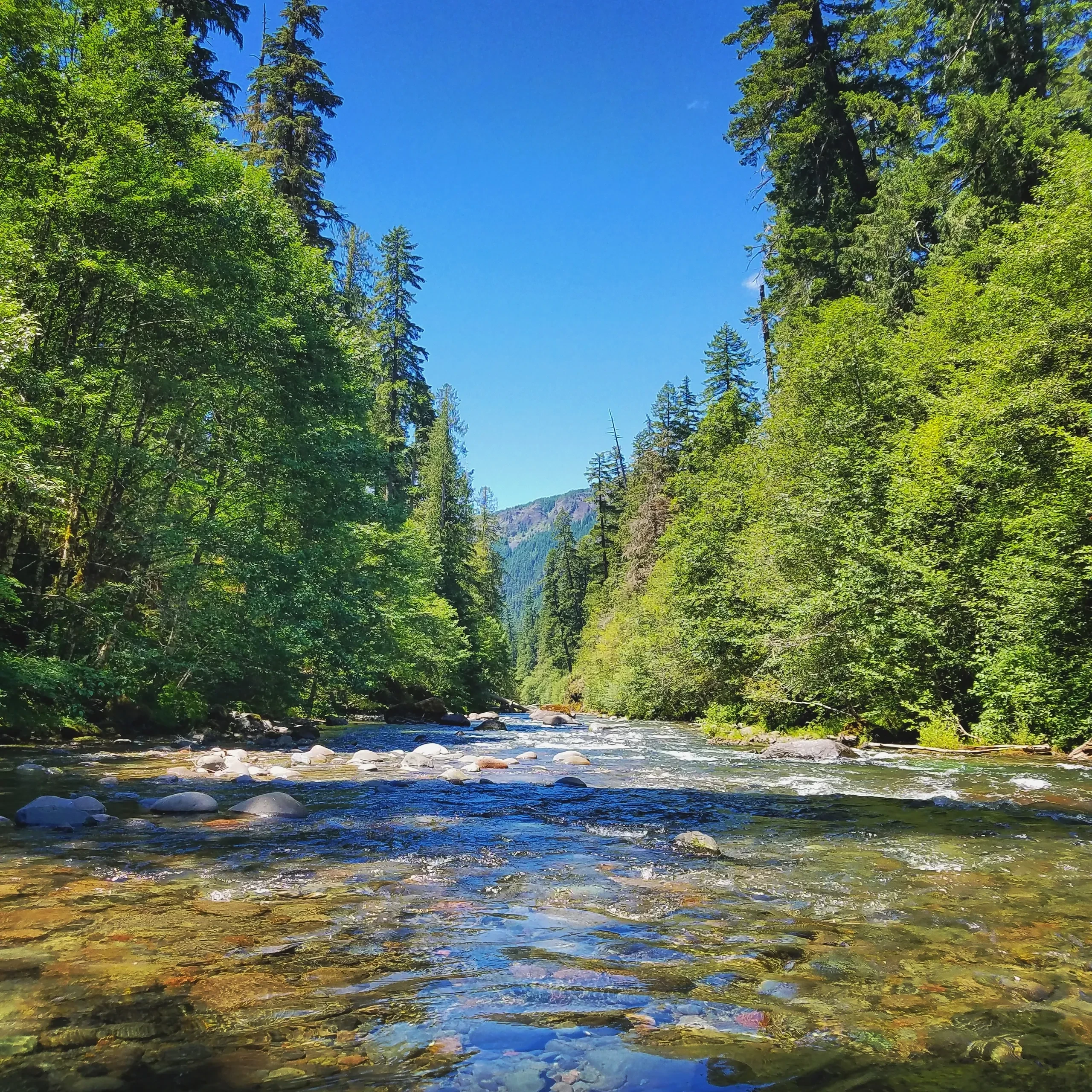 CrossWaterCreek Outfitters fly fishing lifestyle brand